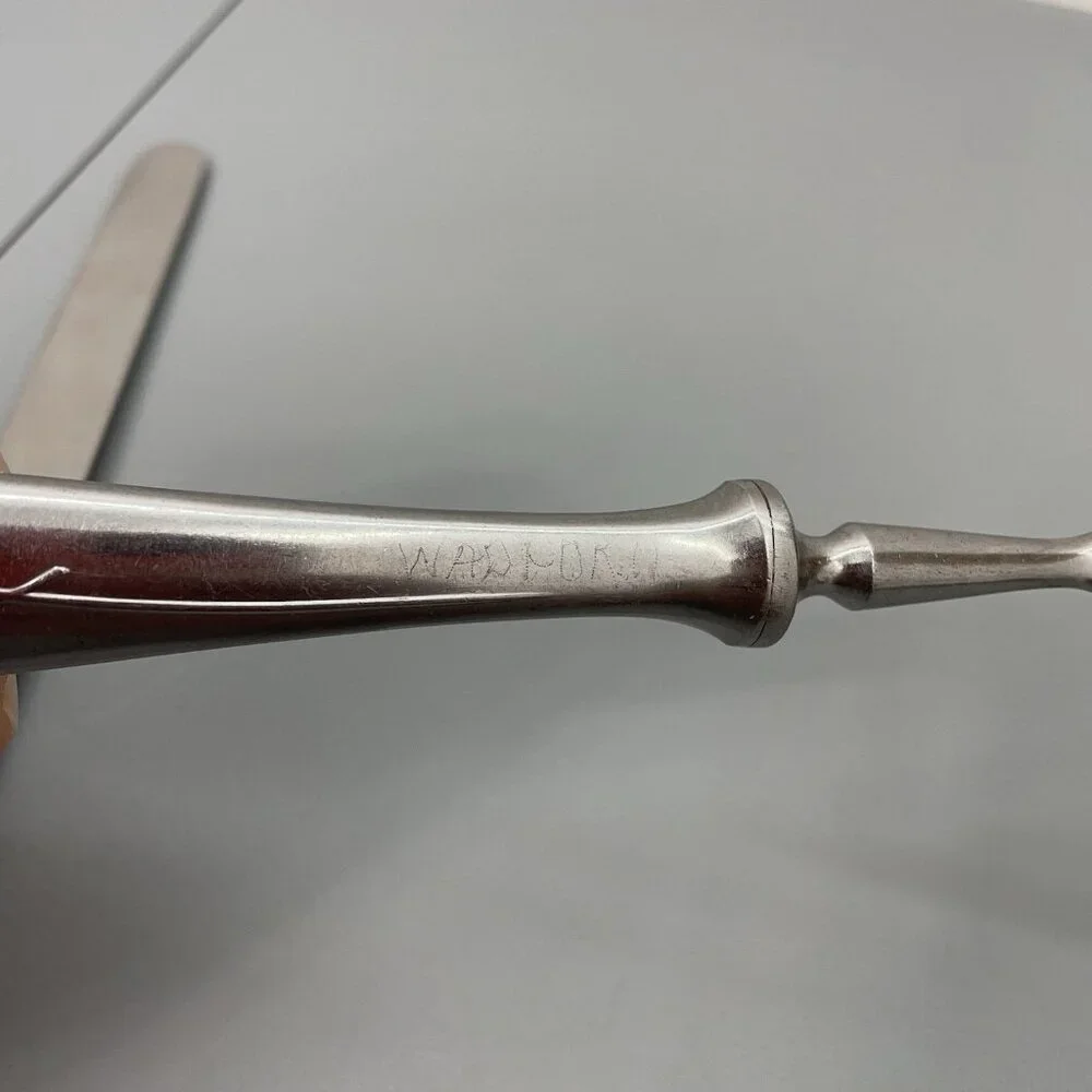 Vintage Cathedral Meat Carving Set Fork Knife Stainless‎ Steel Rose Germany